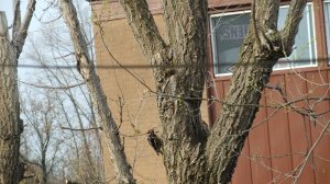 New Arrival on April 16